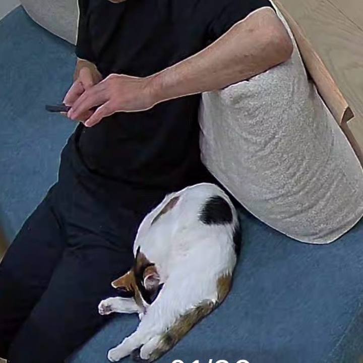 C6f3b78f 1d75 4b9a b1a7 667c0135618f 1766282081483