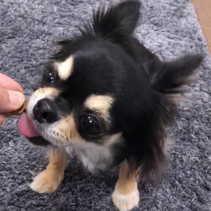 C6f3f6b7 bbb0 4d48 9906 5c0fb762aefe 1598836371682