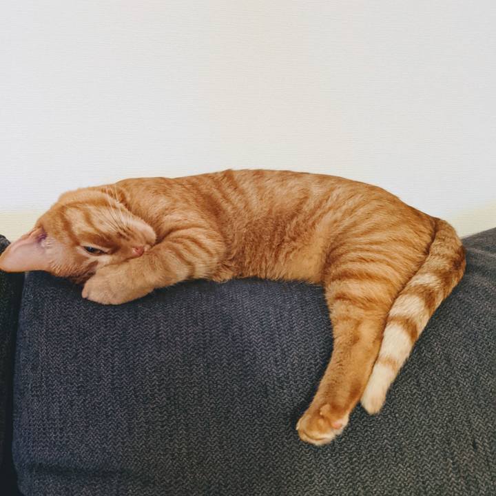 C6f3f8b6 0369 450c aca7 594c644ab663 1628079368683