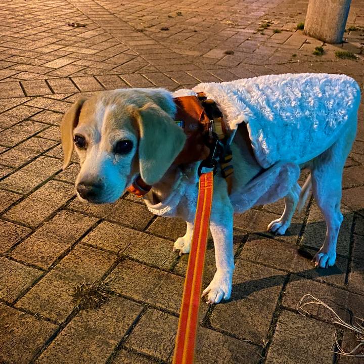 C6f40580 b944 40df 9c5d 7b6b001e61c8 1611746150922