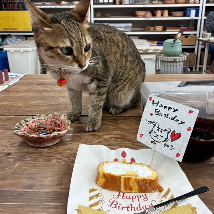 C6f4094b e155 4d77 b625 4fcbd8e05ac3 1773534342144