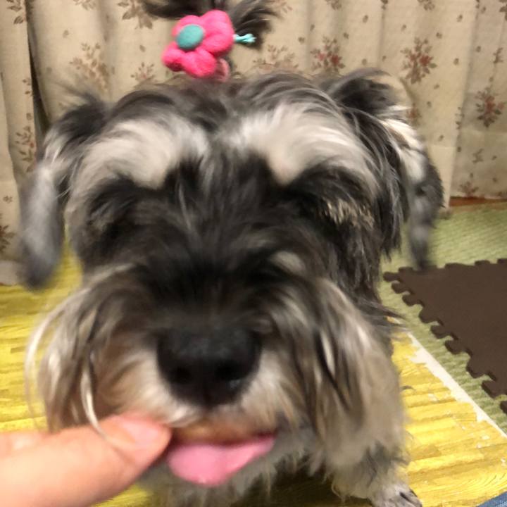 C6f4573e 558c 4f44 b49b 0ab6003b9edb 1694873580806