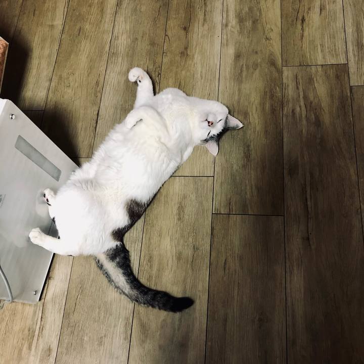 C6f46bc6 2194 438f 8177 1d00d86fb03a 1652404190585