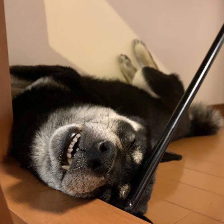 C6f47dca 1776 4d21 83ed a6adc1b32723 1619878971875