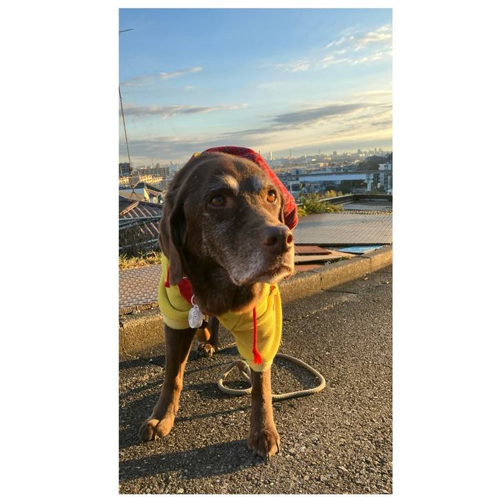 C6f4c635 7d52 45f9 b4eb 43e55418dce8 1767234260693