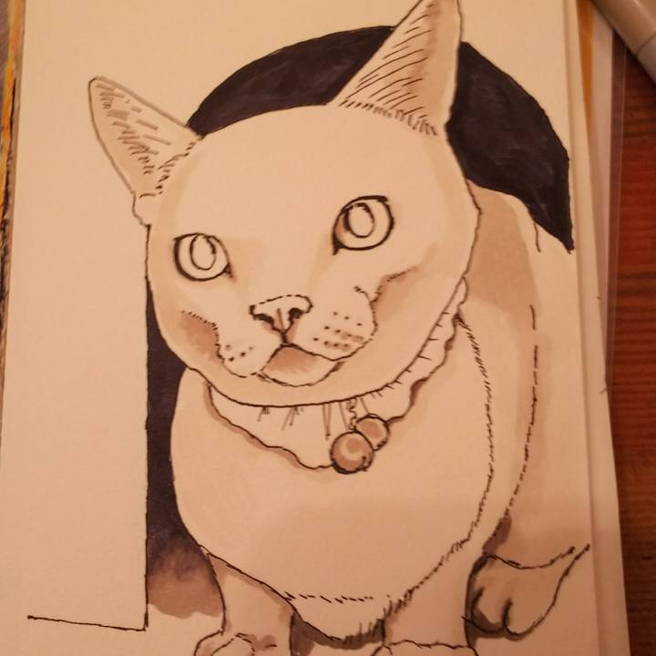 C6f4e7d6 572f 4ba8 b5ff 5e25678e0d3c 1534826141229