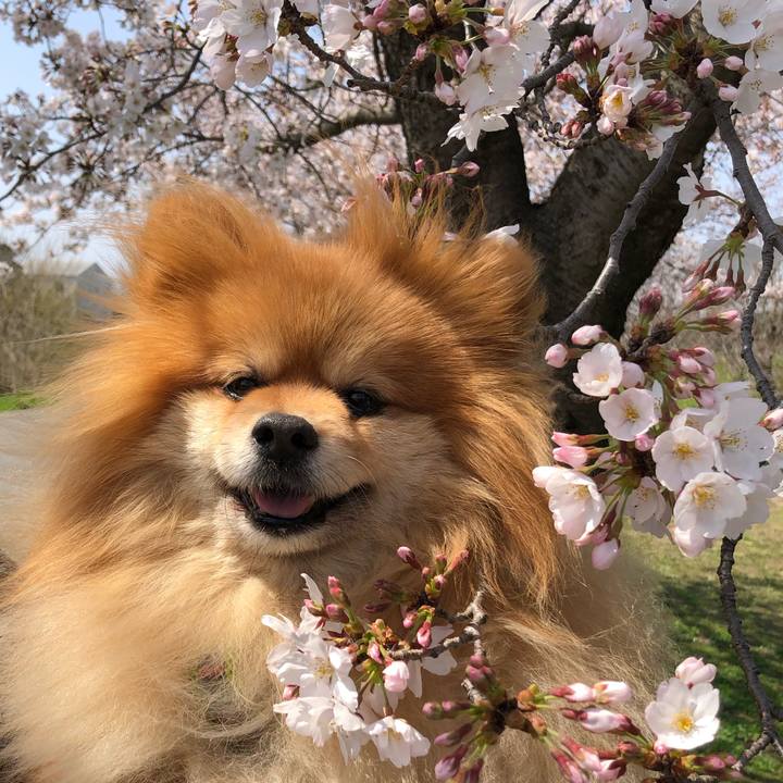 C6f53b70 c5f5 4050 895b f5538bfe65d7 1616743847195