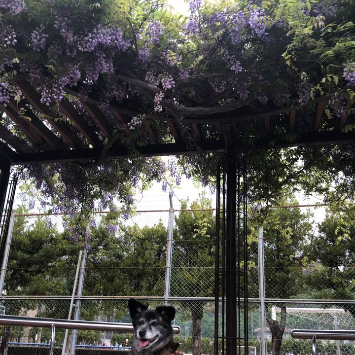 C6f54f1e 7c23 40c2 90f4 eb6df8c3c754 1682500207496