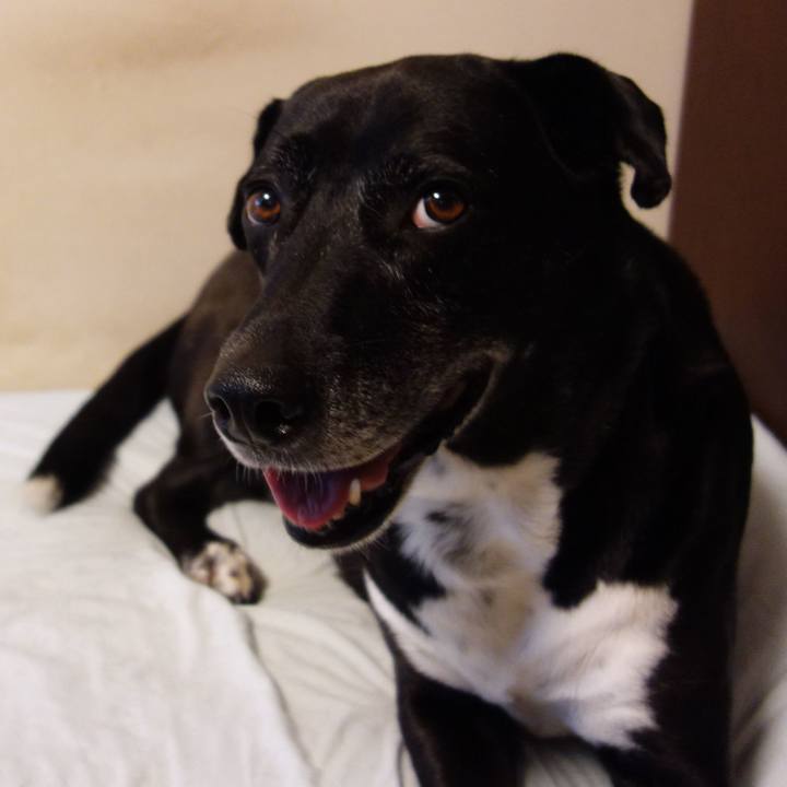 C6f5516d 5522 4aa6 8988 d72b2a009c92 1722468699438