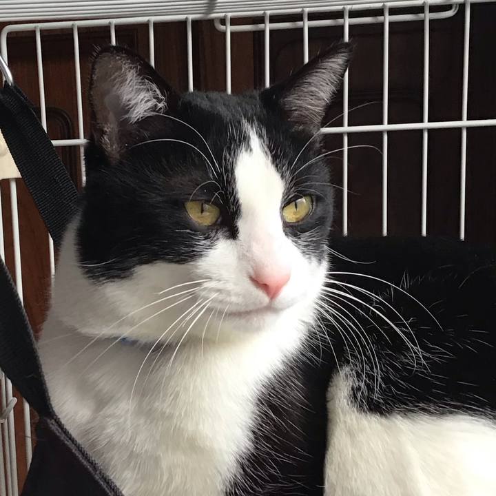 C6f56384 3280 432c abaf e8d800eedc08 1678004957215