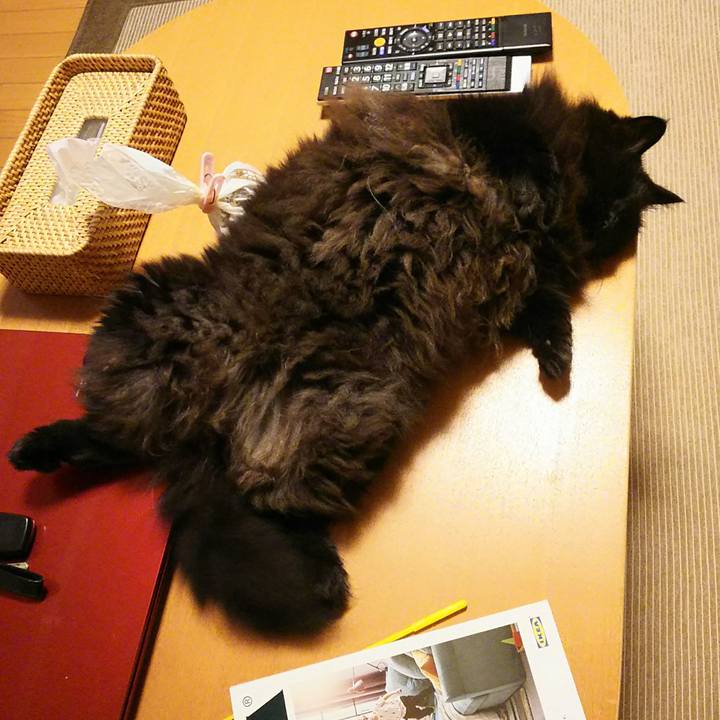 C6f58236 384c 40da b2e5 bd0478ea26d4 1535806219340