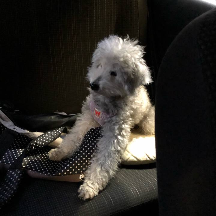 C6f5b29b 0e8e 4f3f 9d9e 0cc039bfc36c 1615161634111