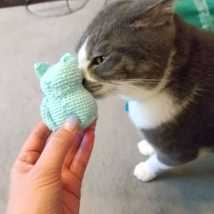 C6f5f3da fd28 4de8 8729 806d47da1644 1629000893103