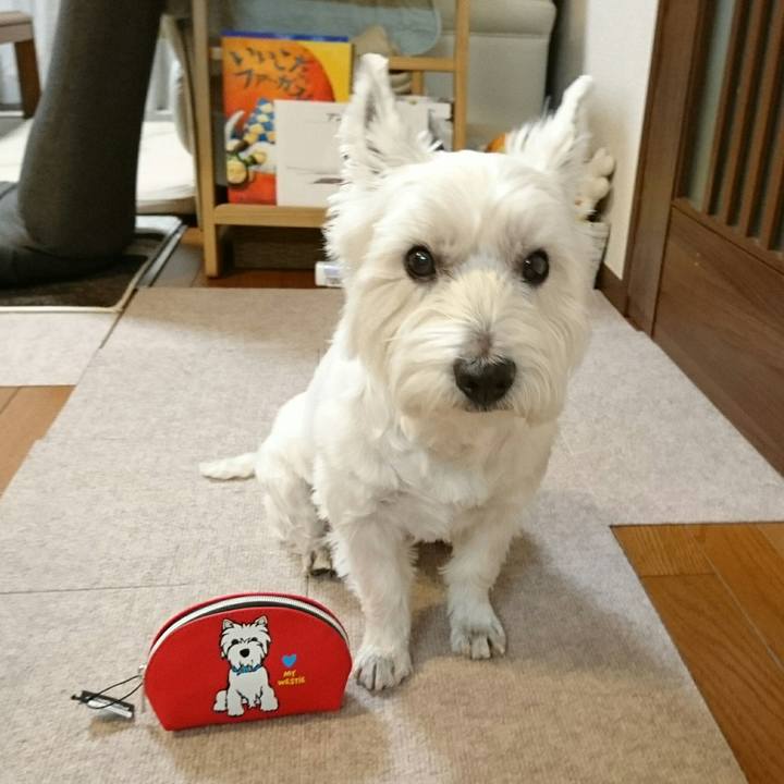 C6f606d1 53ef 43de a2b8 364fc4d1e1a6 1511319304437