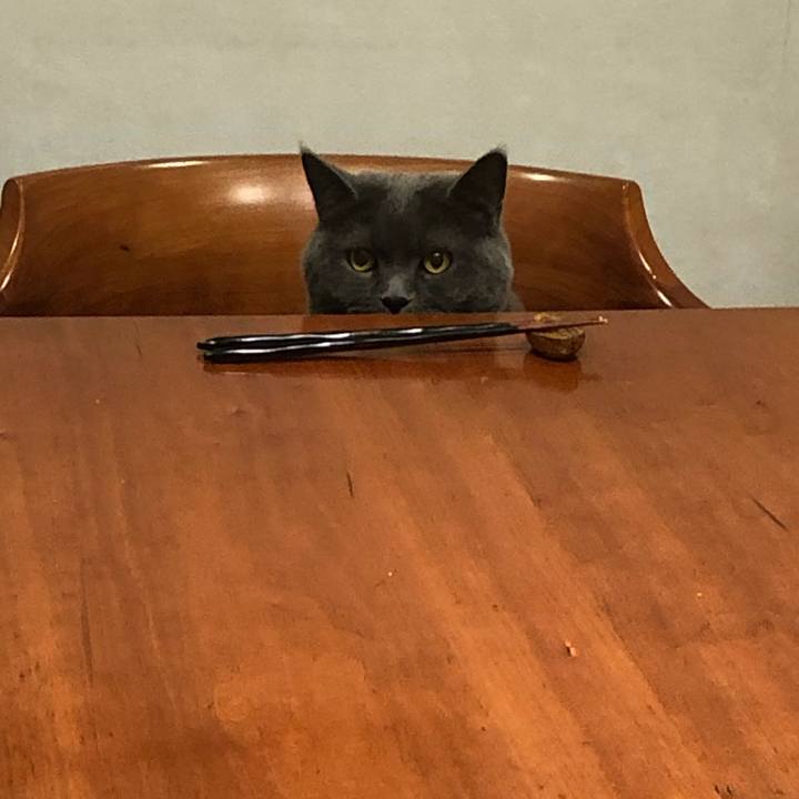 C6f6222b 4318 4cf4 9ba2 fc4a146d8f1a 1554724361888