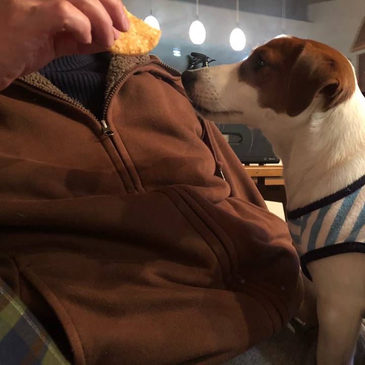 C6f66711 59ce 4ad8 add8 0dc63c31e238 1550132895929