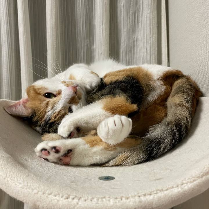 C6f67095 fd12 4c05 b6ef 60a11f511fb3 1614868003588