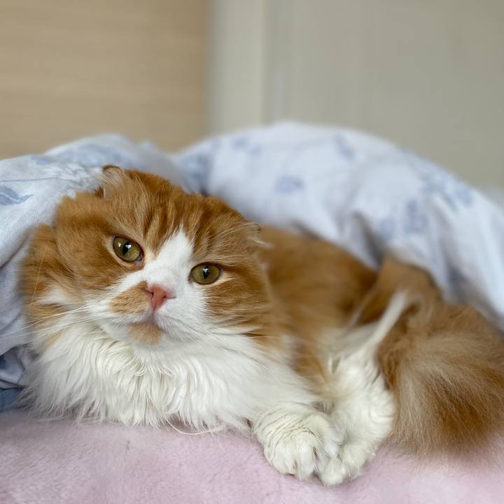 C6f67eb2 24dd 44b3 85cc 412965c47bbd 1602126725739