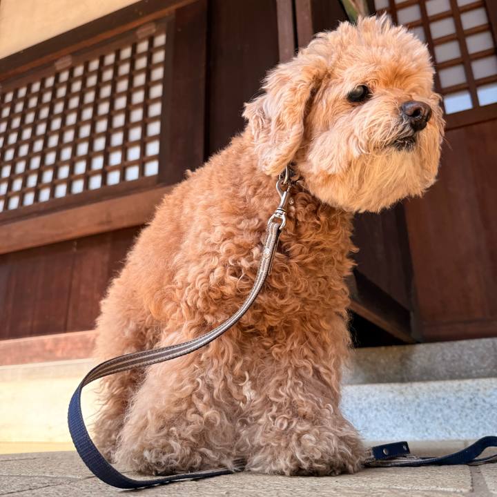 C6f6ef26 80e2 4205 b779 46856fb1b754 1774048329602