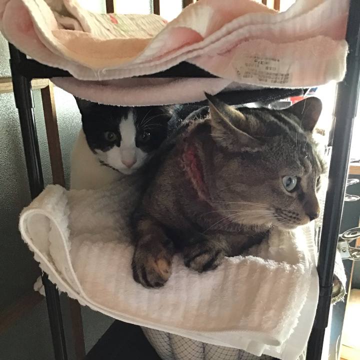 C6f72022 4fd1 428a 8429 1a9236570572 1633943160644