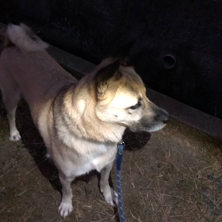 C6f73bb2 20f6 42ae aadd 6ebaf583d95f 1570538748708