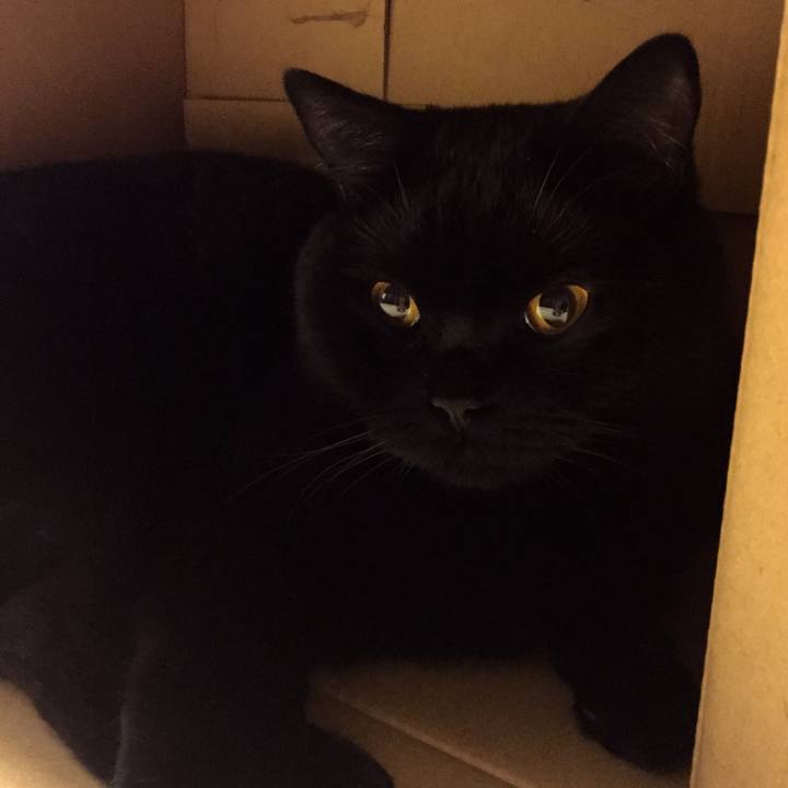 C6f74b6a 93b2 4d77 8a92 22efd2b1c08e 1523275740446