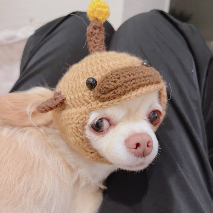 C6f7507c bd8f 49cd 9044 247153c91edc 1761223205234