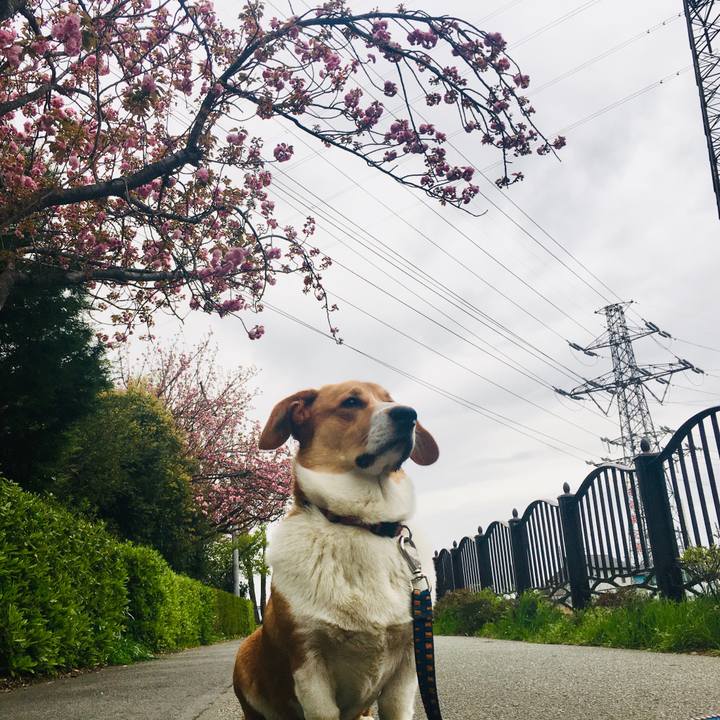 C6f75122 c3e7 460a a390 1613728321e0 1617675520634