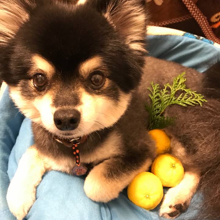 C6f784fe a9d4 404a a772 4e610e4768b3 1545483402270