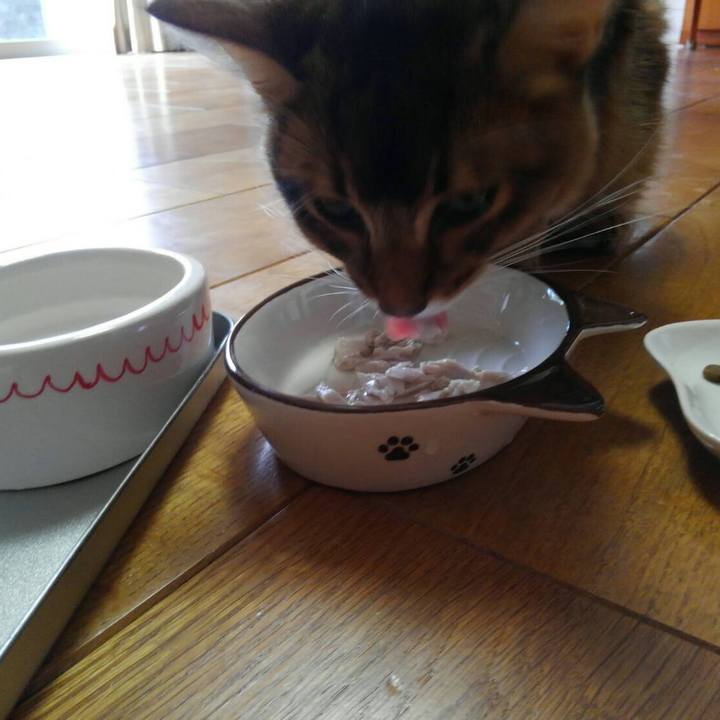 C6f7a153 8d1e 473d a186 8715b9d3f2f7 1569137321793