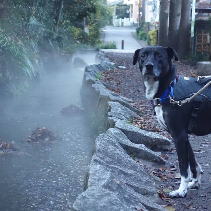 C6f7a871 55ce 417e 9122 febd92063f22 1639184115499