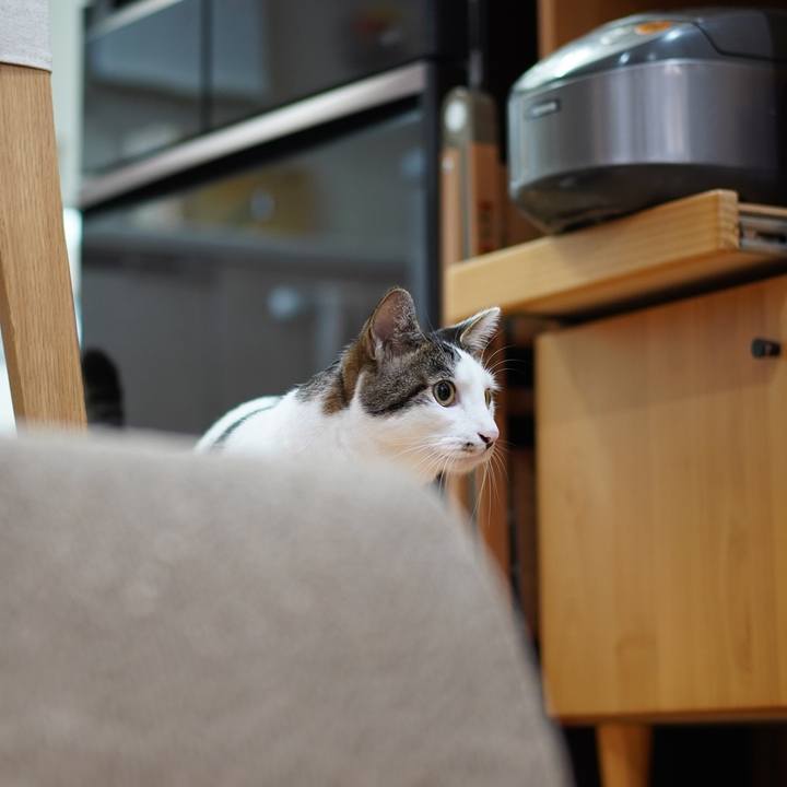 C6f7b639 4590 49c0 88ec 6c91c841e1d4 1566258206226