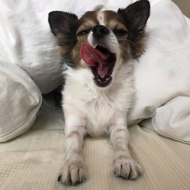 C6f7fe7e d49e 4c8e bf7b bb66a214f9df 1541895208055