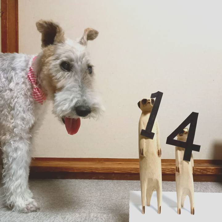 C6f807b7 d6cd 4175 b4f4 1ac19cab4c38 1627429931368