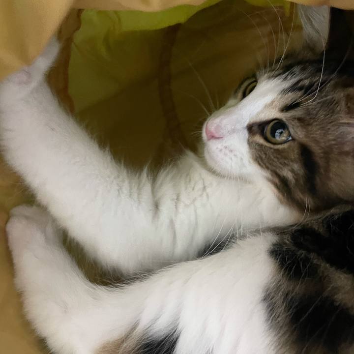 C6f82a4a 5d75 47b3 8e43 970207f43ce6 1633599405925