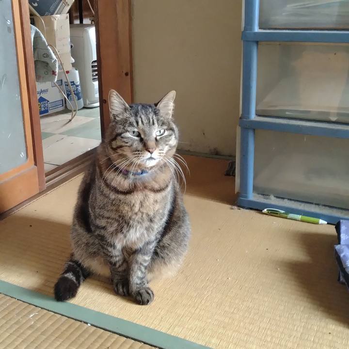 C6f835d4 5ec4 426f a069 3d245046e0d3 1742815132072