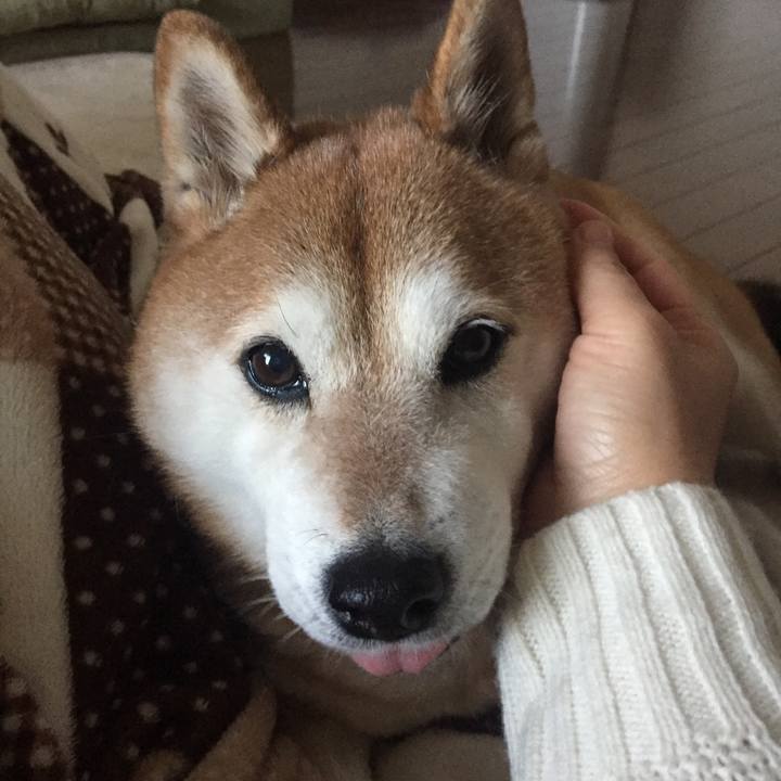 C6f85563 b277 4911 bc08 574ab53097c0 1514822448650