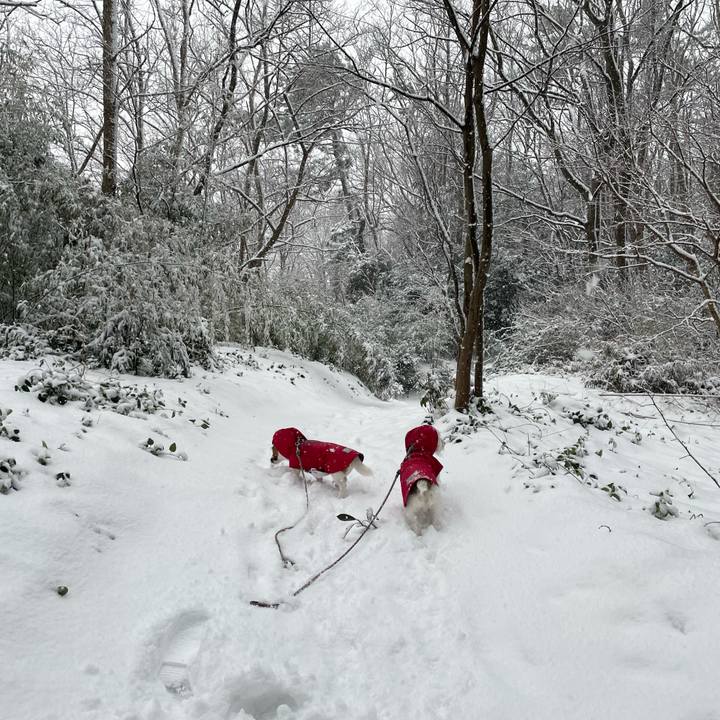 C6f85fbf 5dd6 4537 9467 7cb207ede1b3 1674778191663