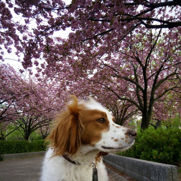 C6f8fe90 1750 4e84 a1f1 16f4e5e65ba4 1523273918959