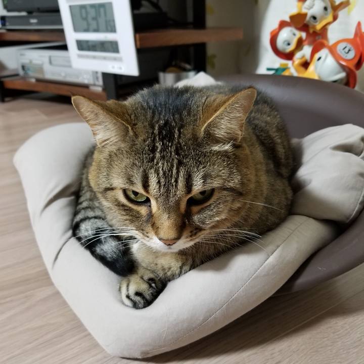 C6f90705 0a45 4372 87d6 5322ac4d1864 1620564008809