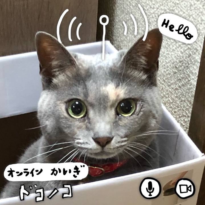 C6f90eb5 b3a4 4bc2 b9cc 41e165a6ca8d 1591417054084