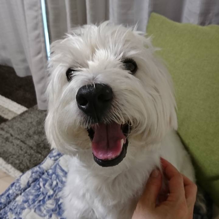 C6f93336 ceb0 4e0e 9c00 41ffe86d3fde 1533525216308