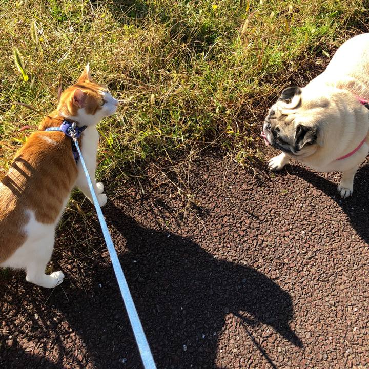 C6f93d8d cdd4 434f 9abb efbe0003c11f 1540689766105