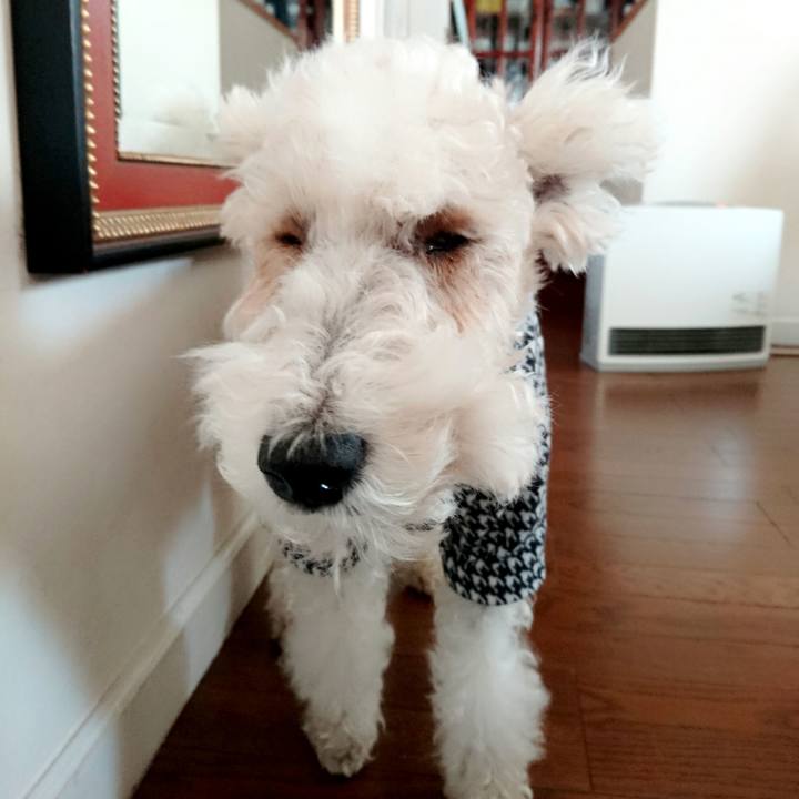 C6f96239 3154 4710 af80 dd268408ccc8 1512603886620