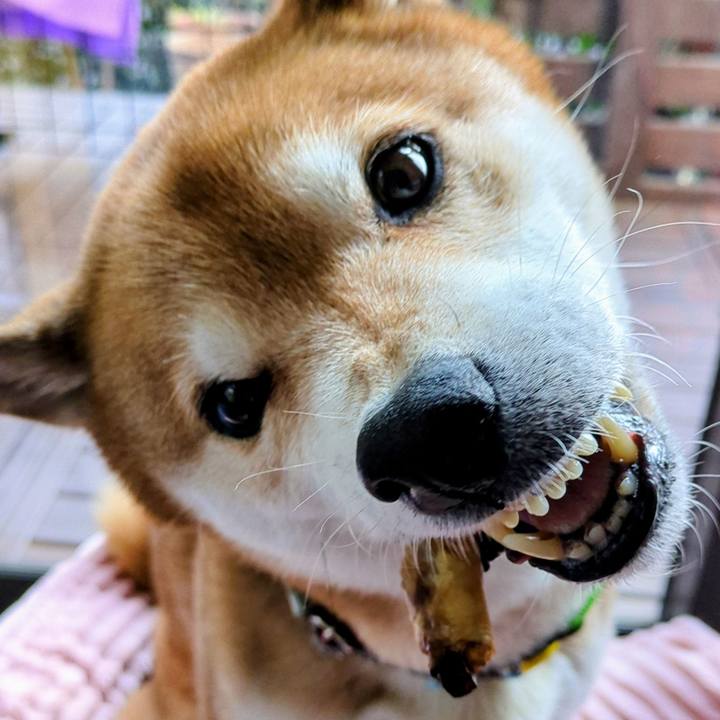 C6f9ae07 5656 4d7c 882a 07dde5d952db 1768722958984