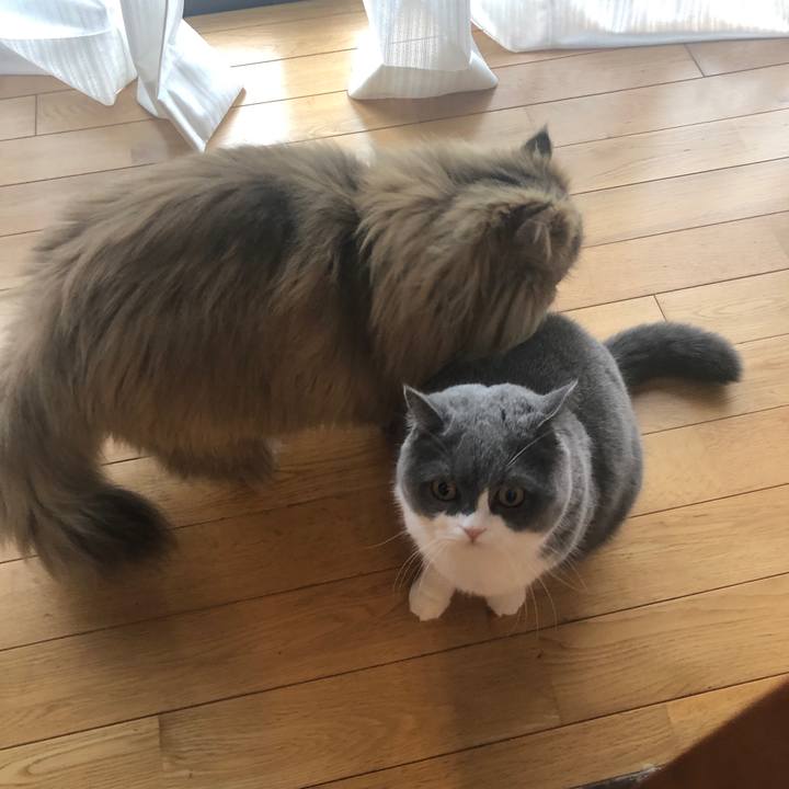 C6f9b947 a1ce 4bfd ba8e 4a29b757e1f6 1579302386916