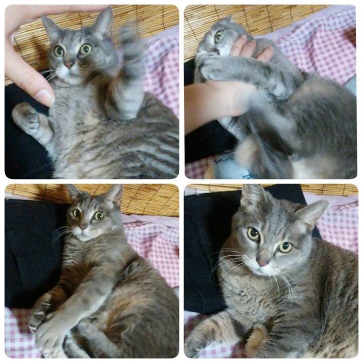 C6f9bb1e f48c 49c9 9b17 e64a2475d31f 1521997202332