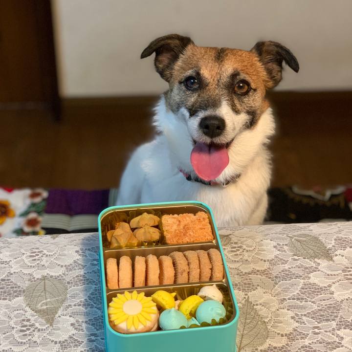 C6f9fc84 ecae 4059 8998 ea733a2dd0d4 1626480387253