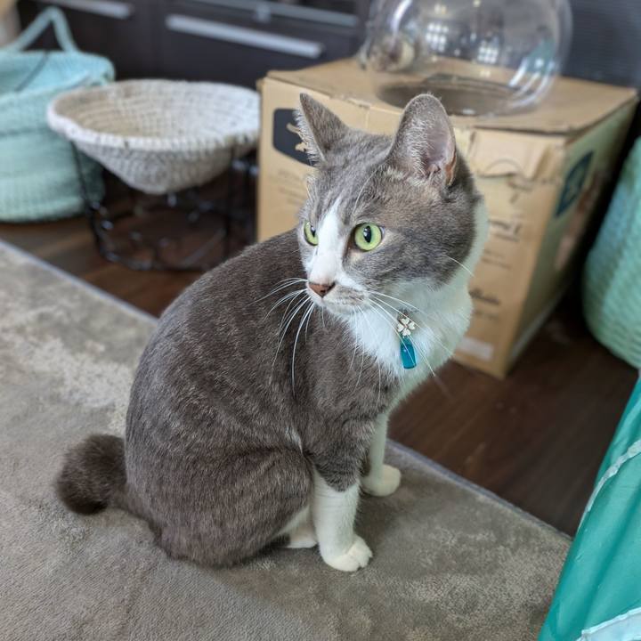 C6fa2148 5aa7 495c a52e c4a84d225c07 1729728331966