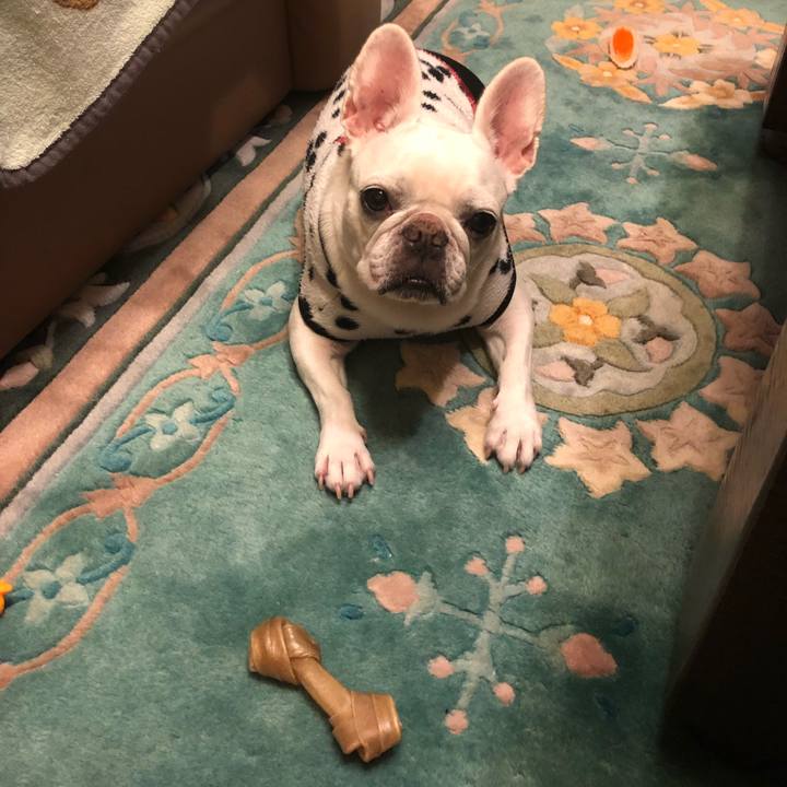 C6fa3e47 aaf7 481e a837 fe5bff5127cf 1667042305079